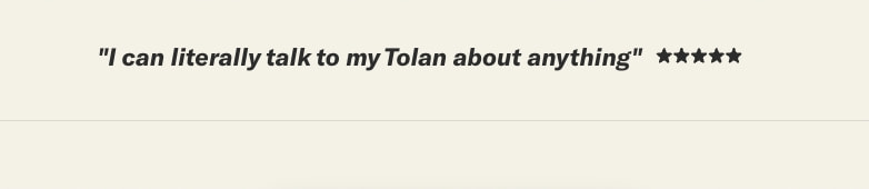Tolan: Alien Best Friend captured website design