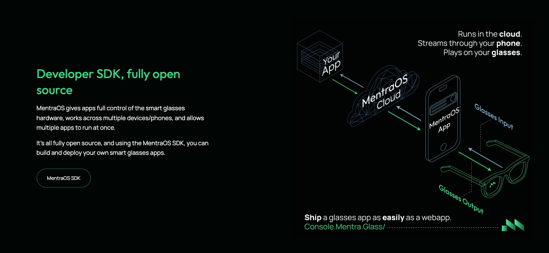 Developer SDK section with isometric cloud architecture diagram, green accent text, and outlined pill button on black canvas captured website design