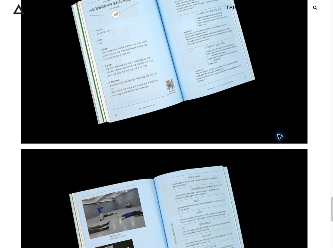 TRIANGLE-STUDIO | 한국문화예술교육진흥원 팬더믹 대응과 창의적 선택 사이 captured website design