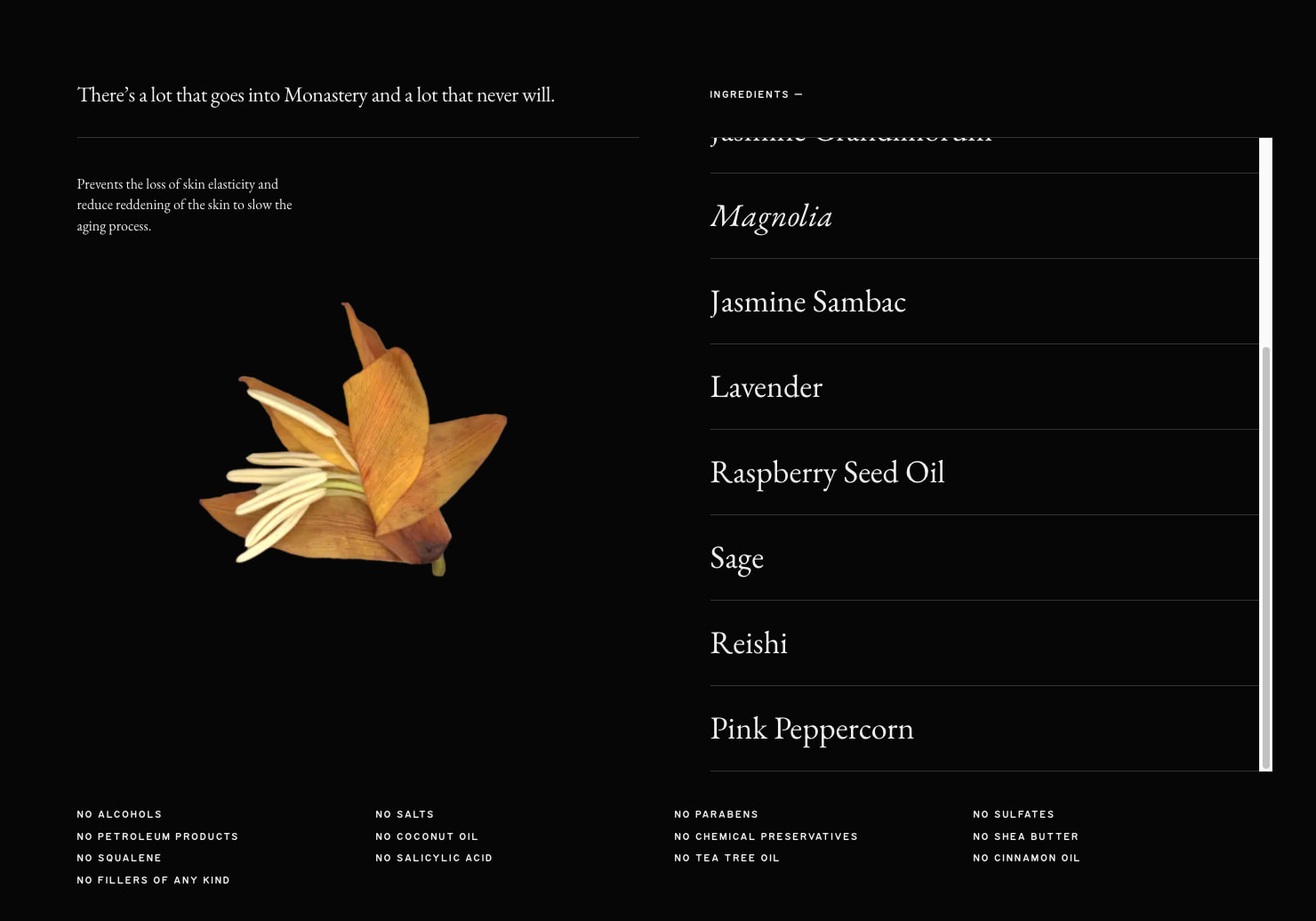 About | Monastery captured website design