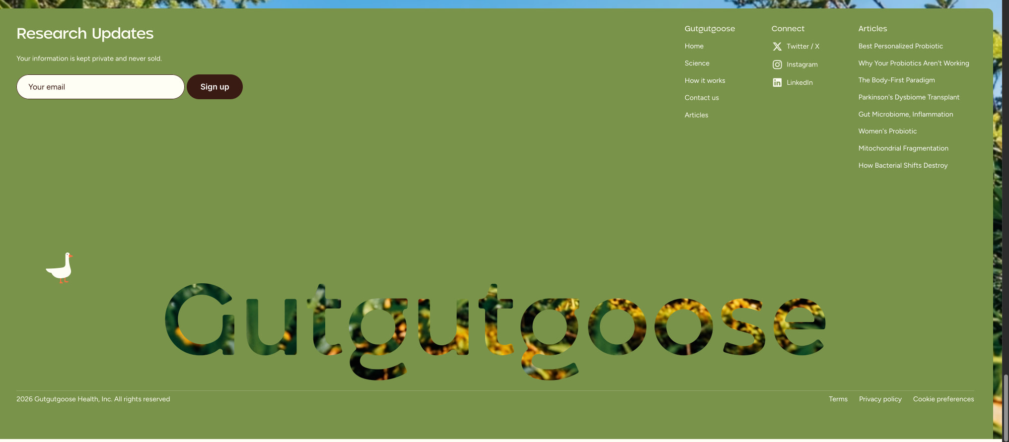 Personalized Probiotics: Matched to Your Gut captured website design