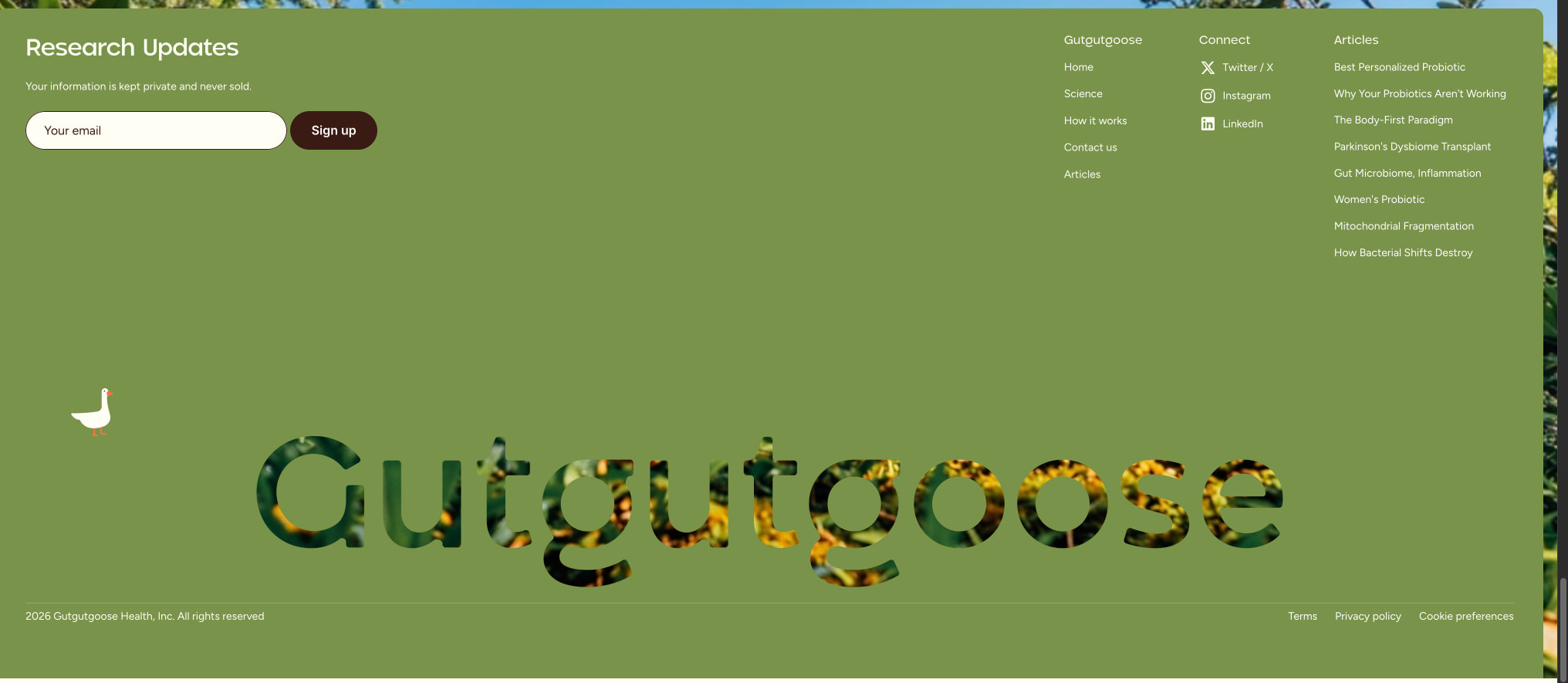 Personalized Probiotics: Matched to Your Gut captured website design