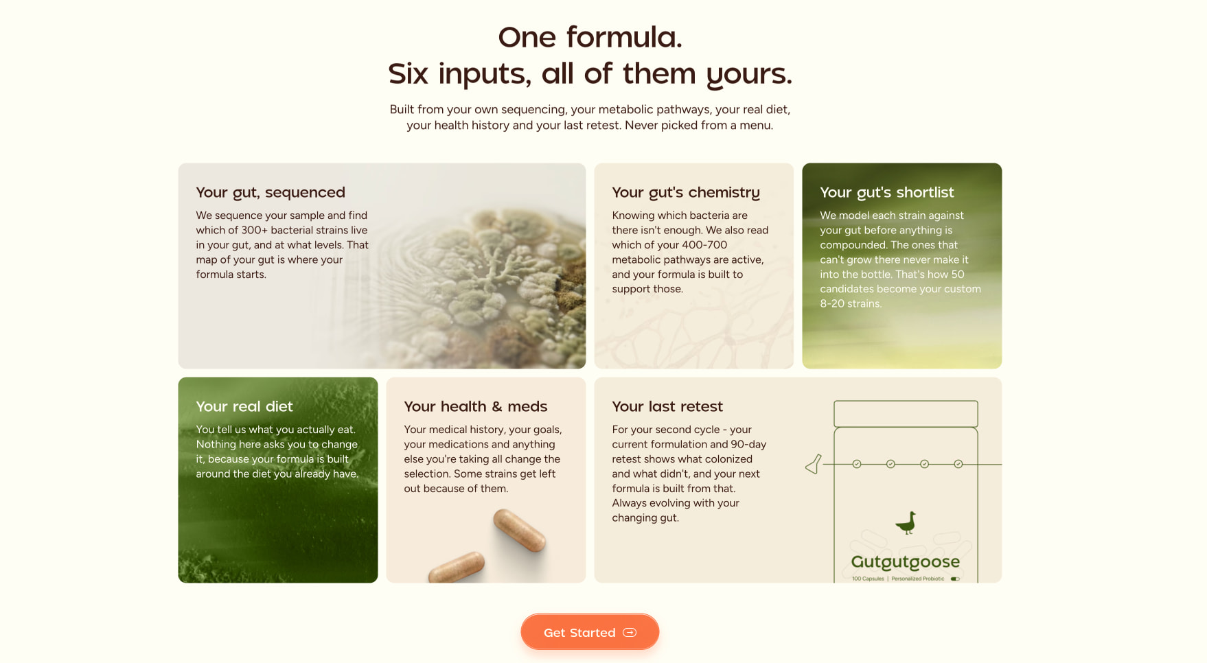 Personalized Probiotics: Matched to Your Gut captured website design