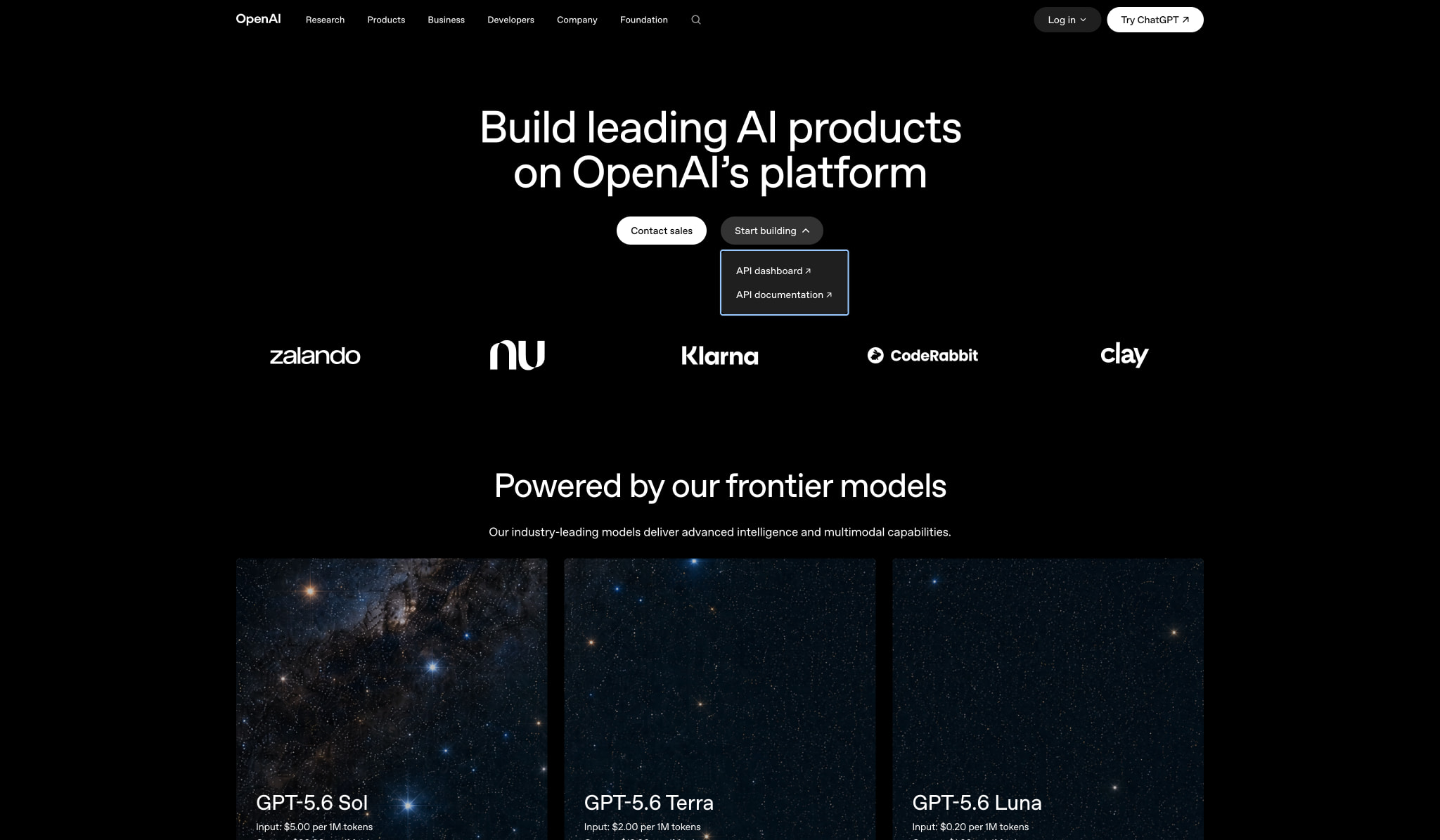 API Platform | OpenAI captured website design