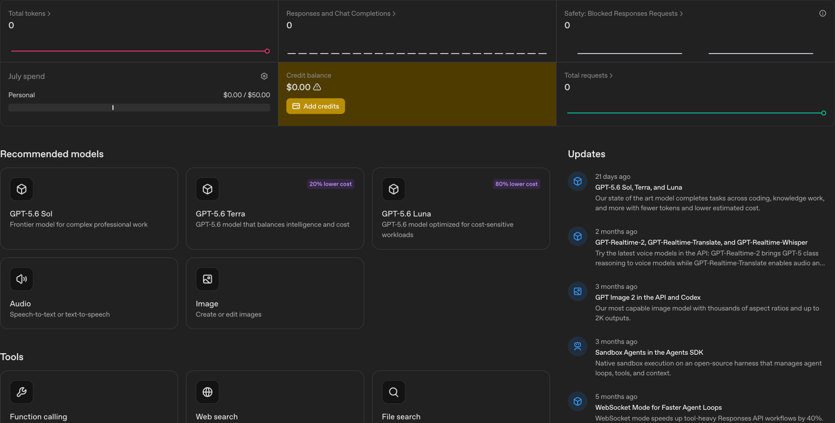 Platform Home Page - OpenAI API captured website design