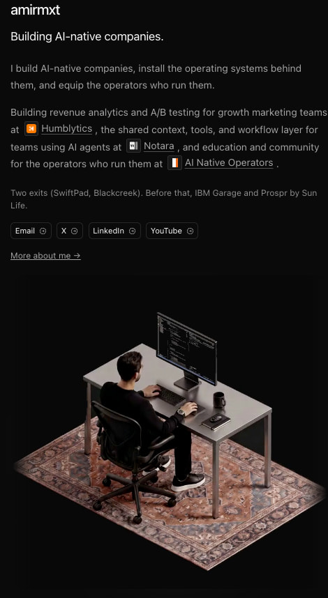 amirmxt captured website design