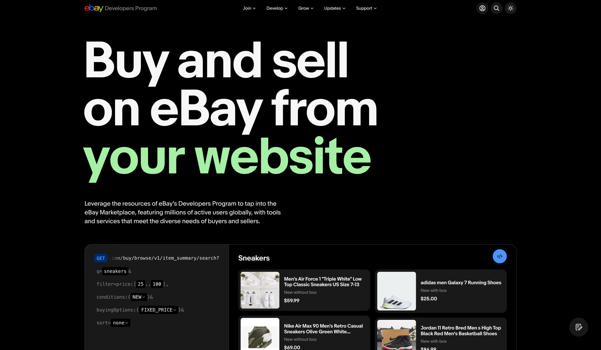eBay Developers Program captured website design