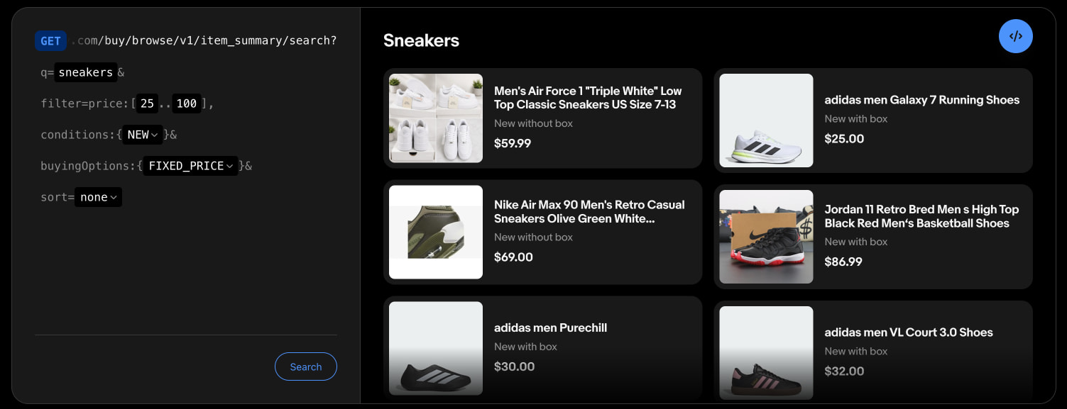 eBay Developers Program captured website design