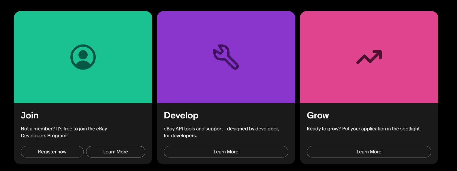 eBay Developers Program captured website design