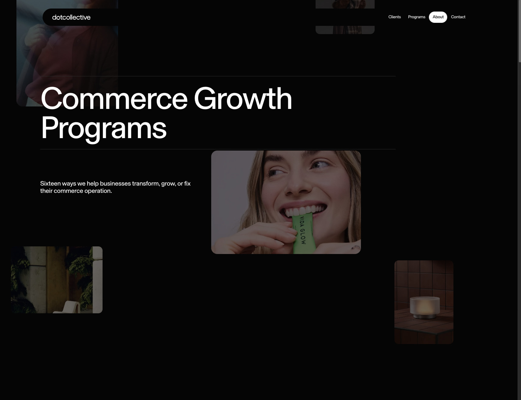 Commerce Growth Programs — DotCollective captured website design