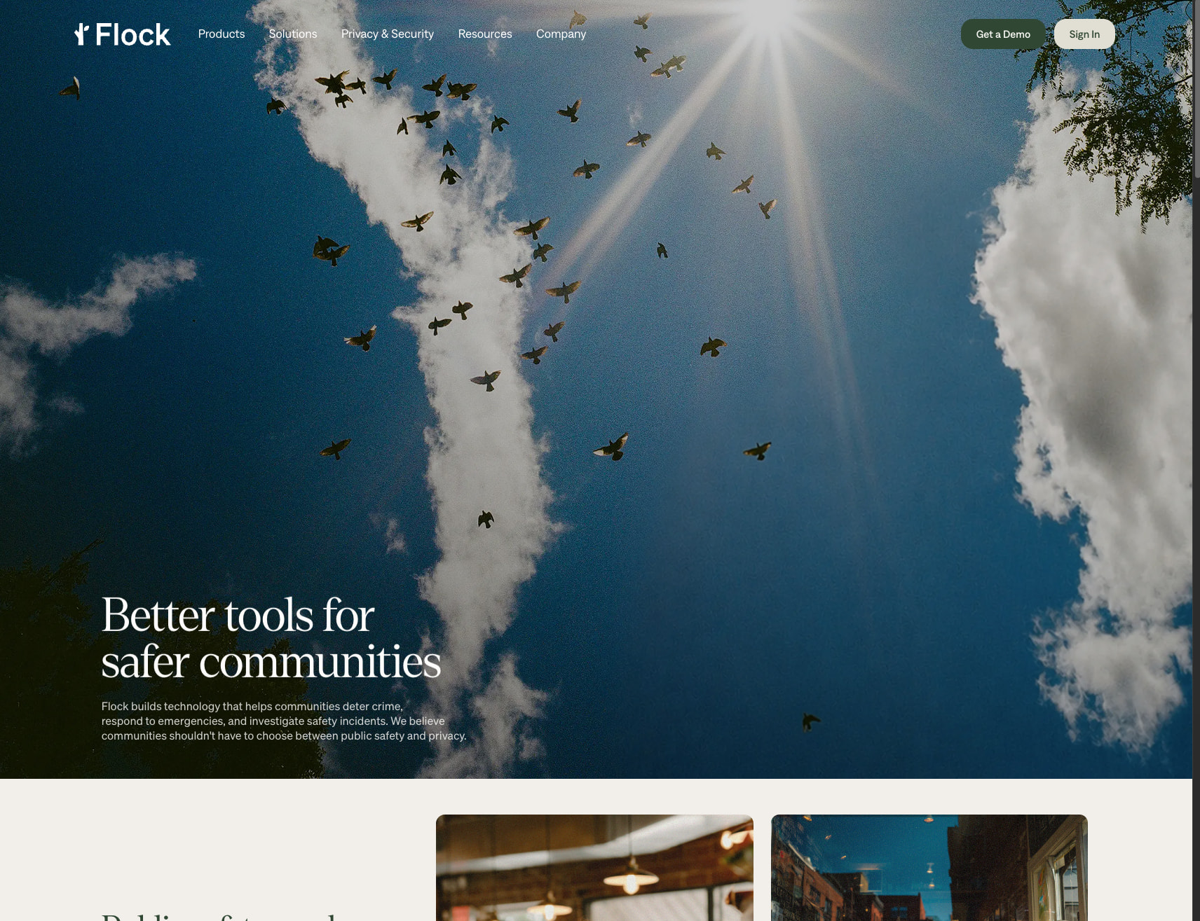 Flock Safety captured website design