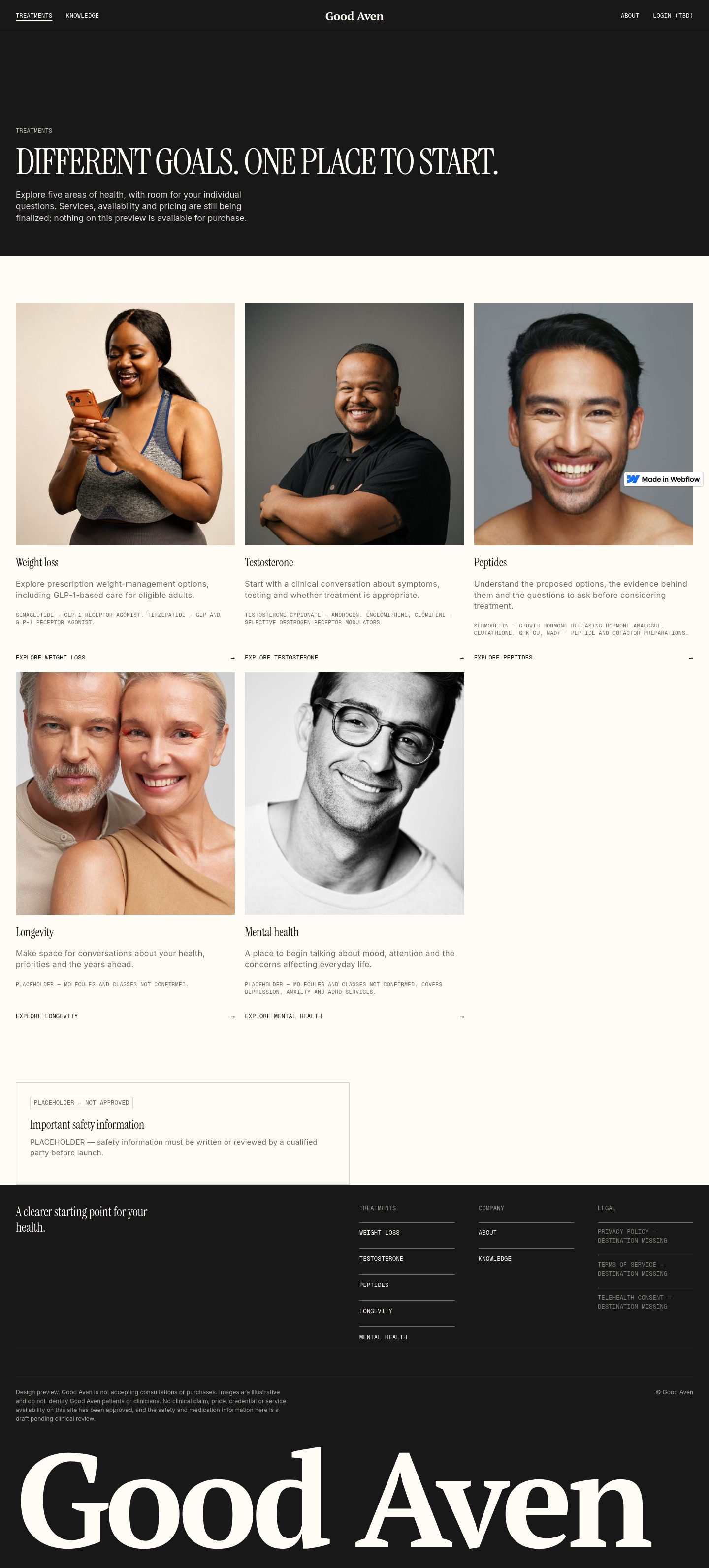 test-82a73f.webflow.io captured website design