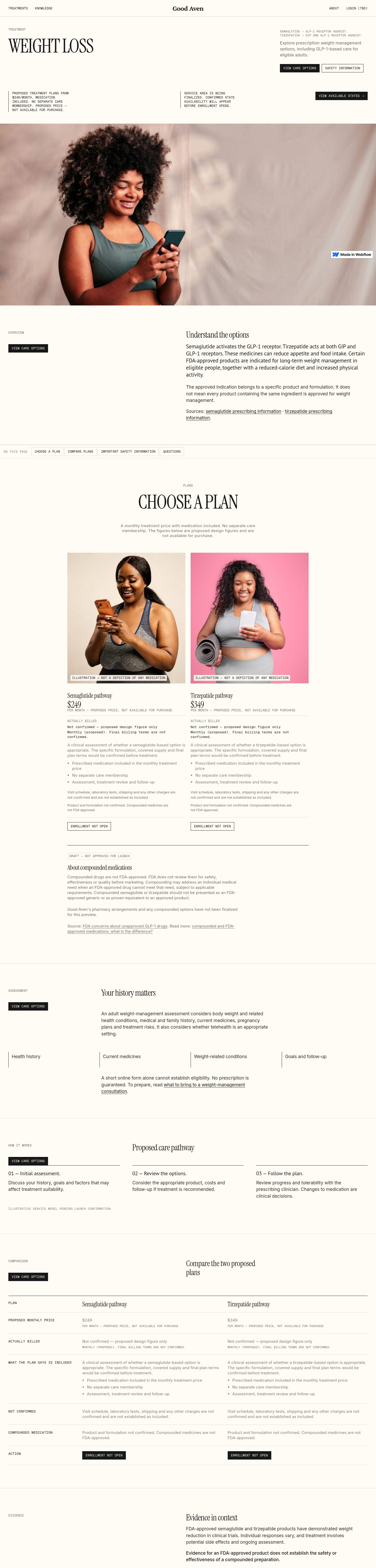 test-82a73f.webflow.io captured website design
