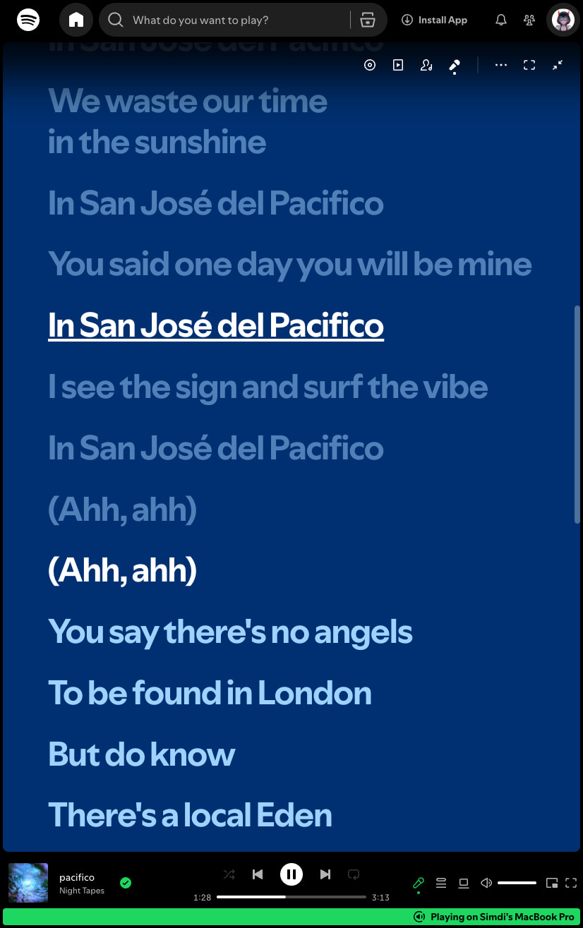 pacifico • Night Tapes captured website design