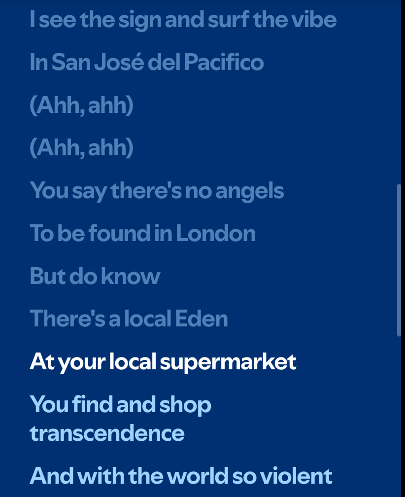 pacifico • Night Tapes captured website design