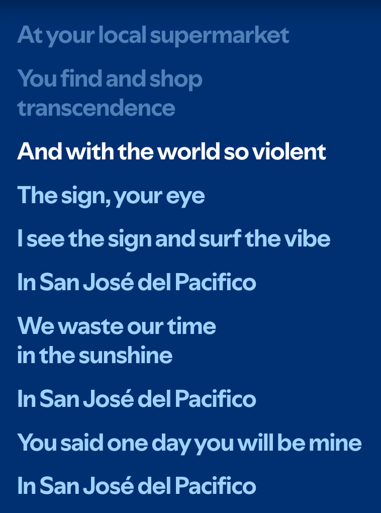 pacifico • Night Tapes captured website design