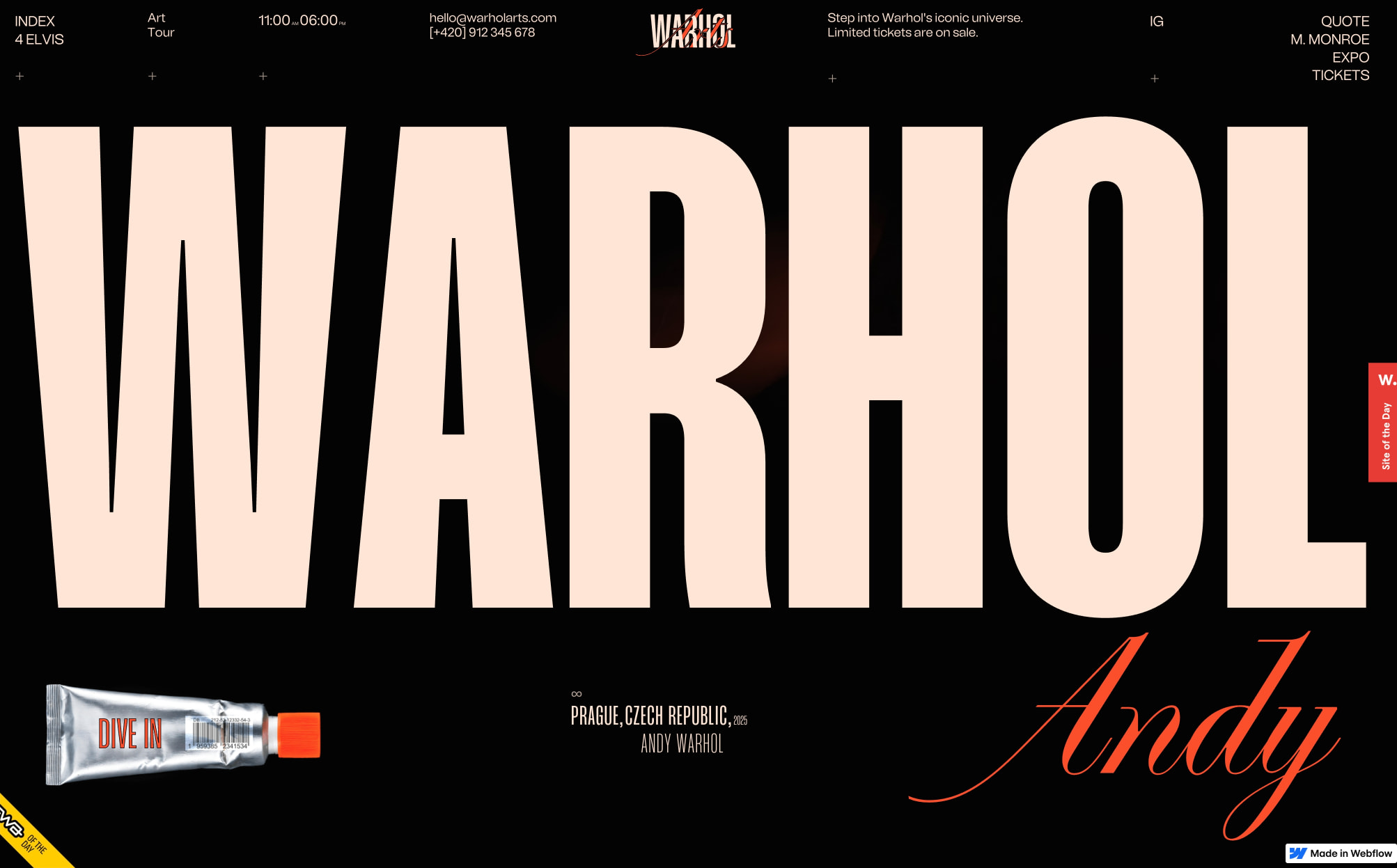 WarholArts © captured website design