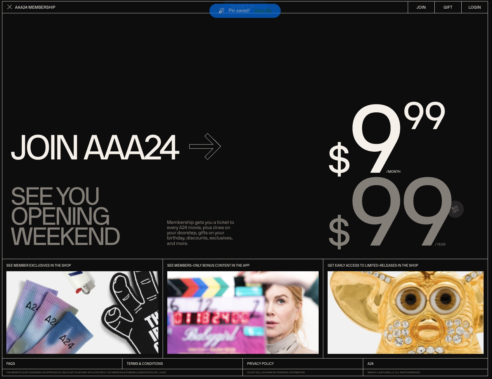 AAA24 captured website design
