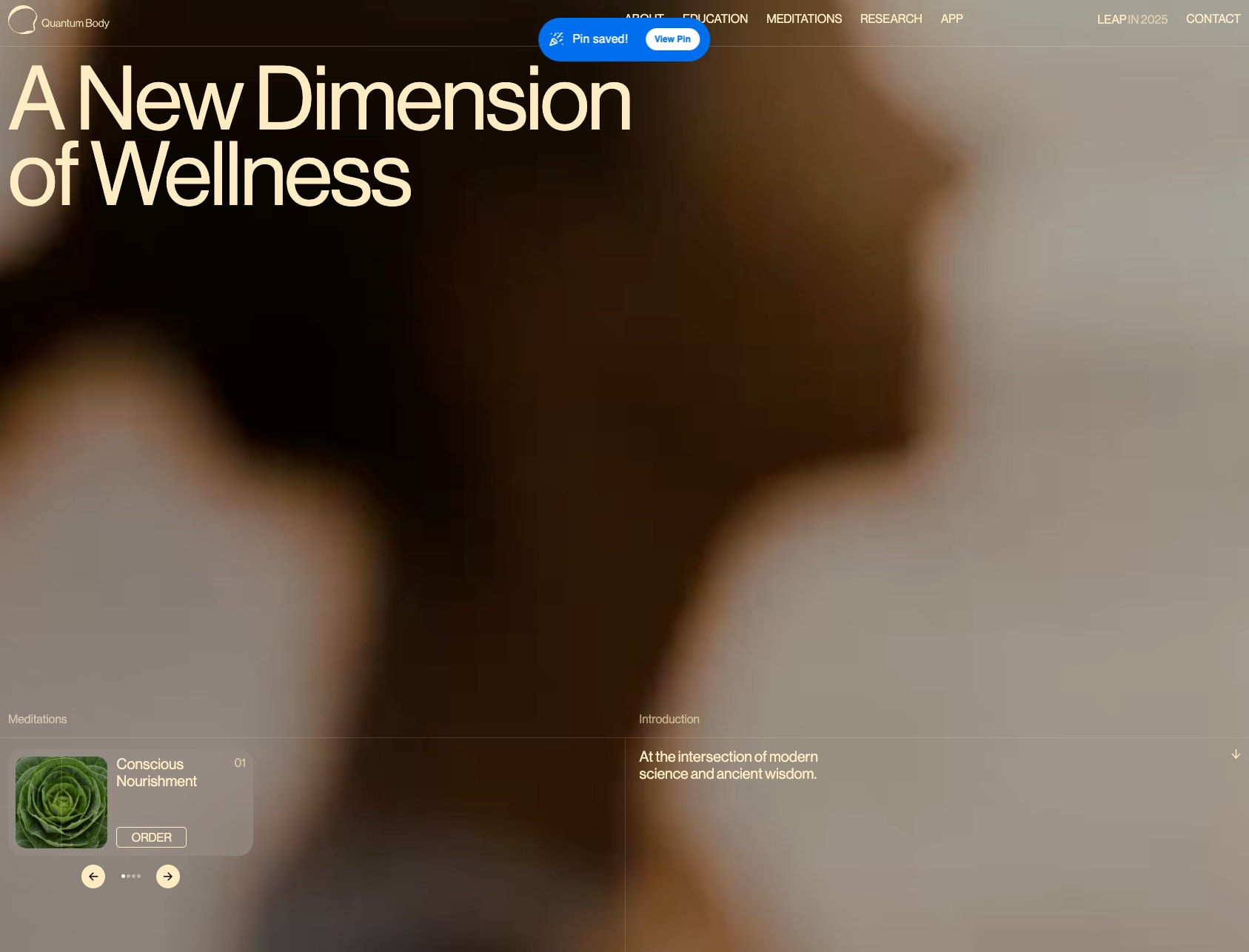 Quantum Body - A New Dimension of Wellness captured website design