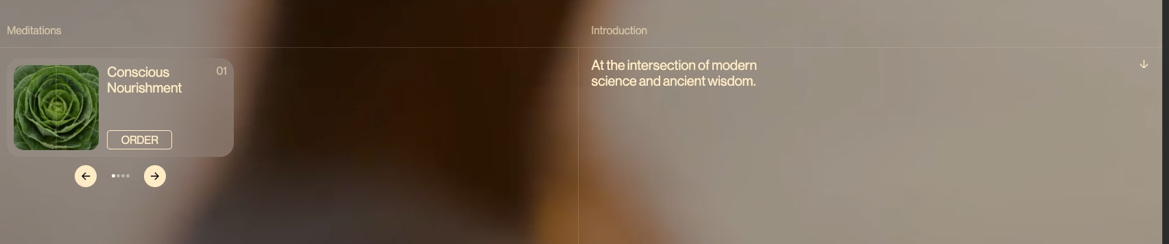 Quantum Body - A New Dimension of Wellness captured website design