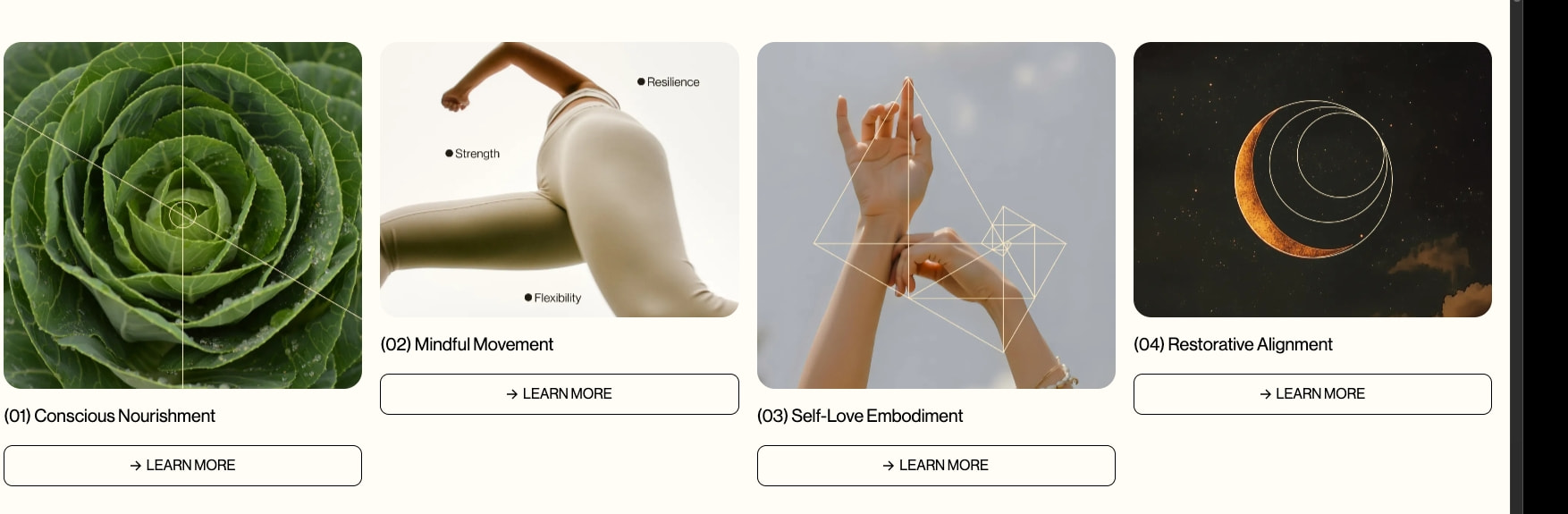 Quantum Body - A New Dimension of Wellness captured website design