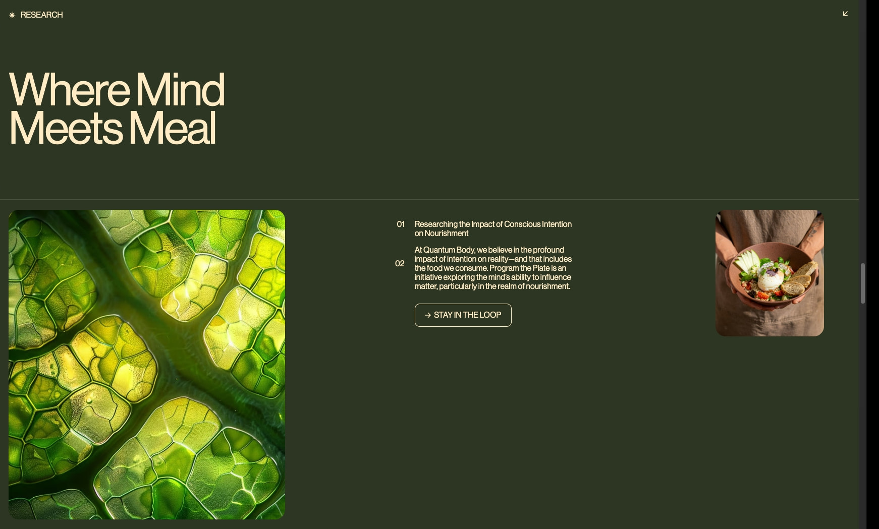 Quantum Body - A New Dimension of Wellness captured website design