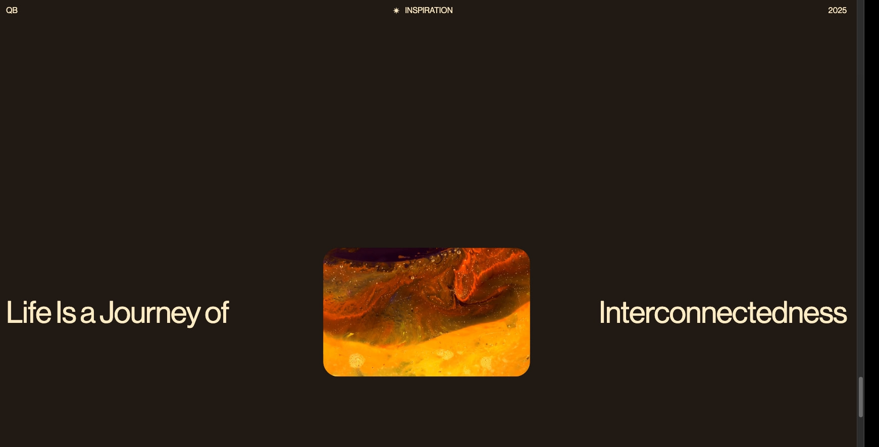 Quantum Body - A New Dimension of Wellness captured website design
