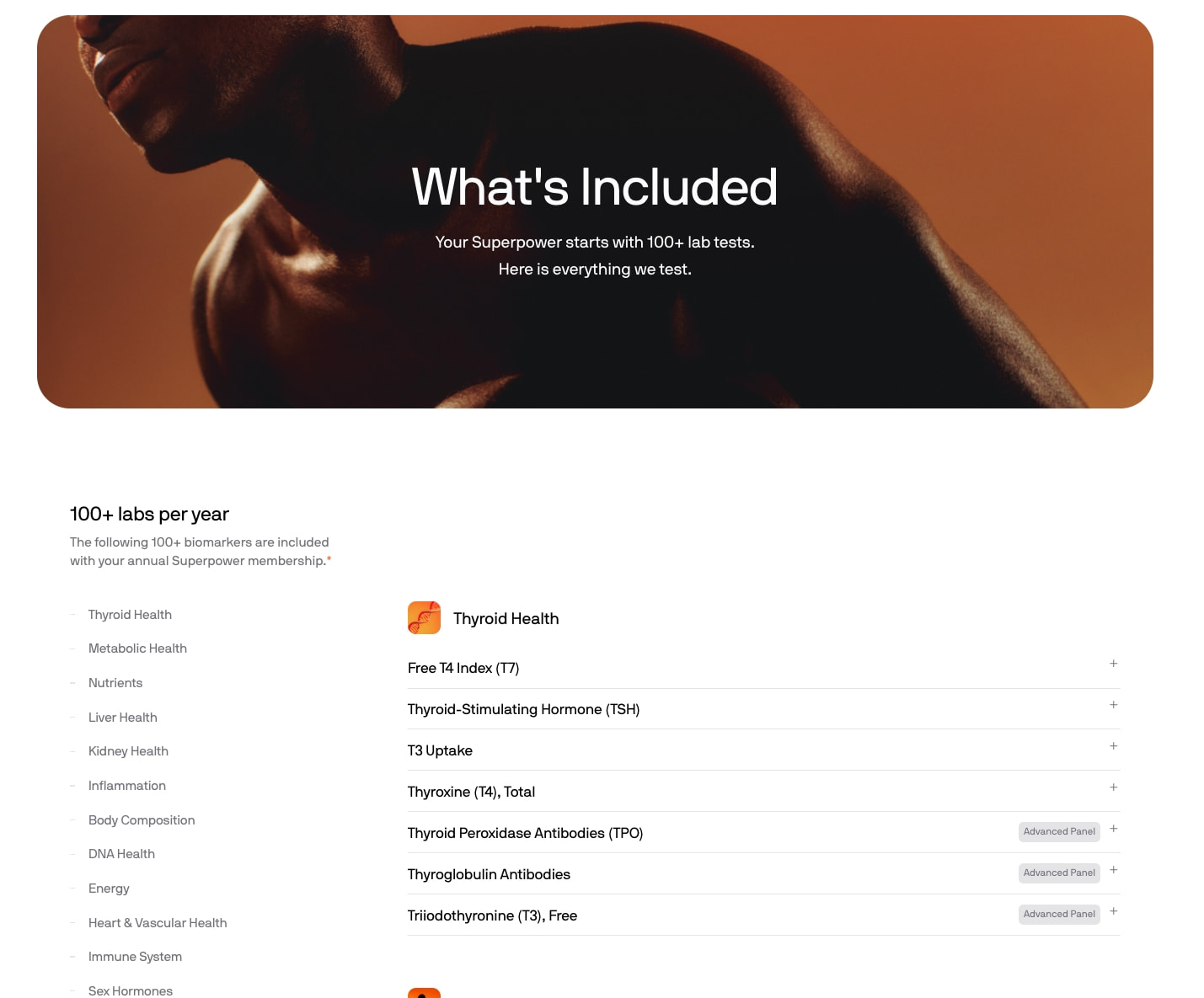 What's Included captured website design