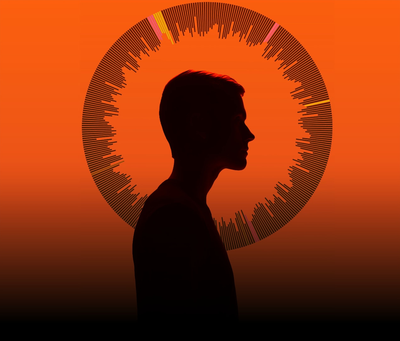 Full-bleed hero image with a silhouetted profile against a vibrant orange gradient background, surrounded by a circular data visualization ring with colored accent bars. captured website design