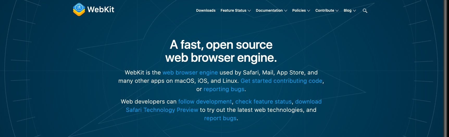 Hero section with deep navy blue background, white centered headline, and light blue link text with geometric line pattern captured website design