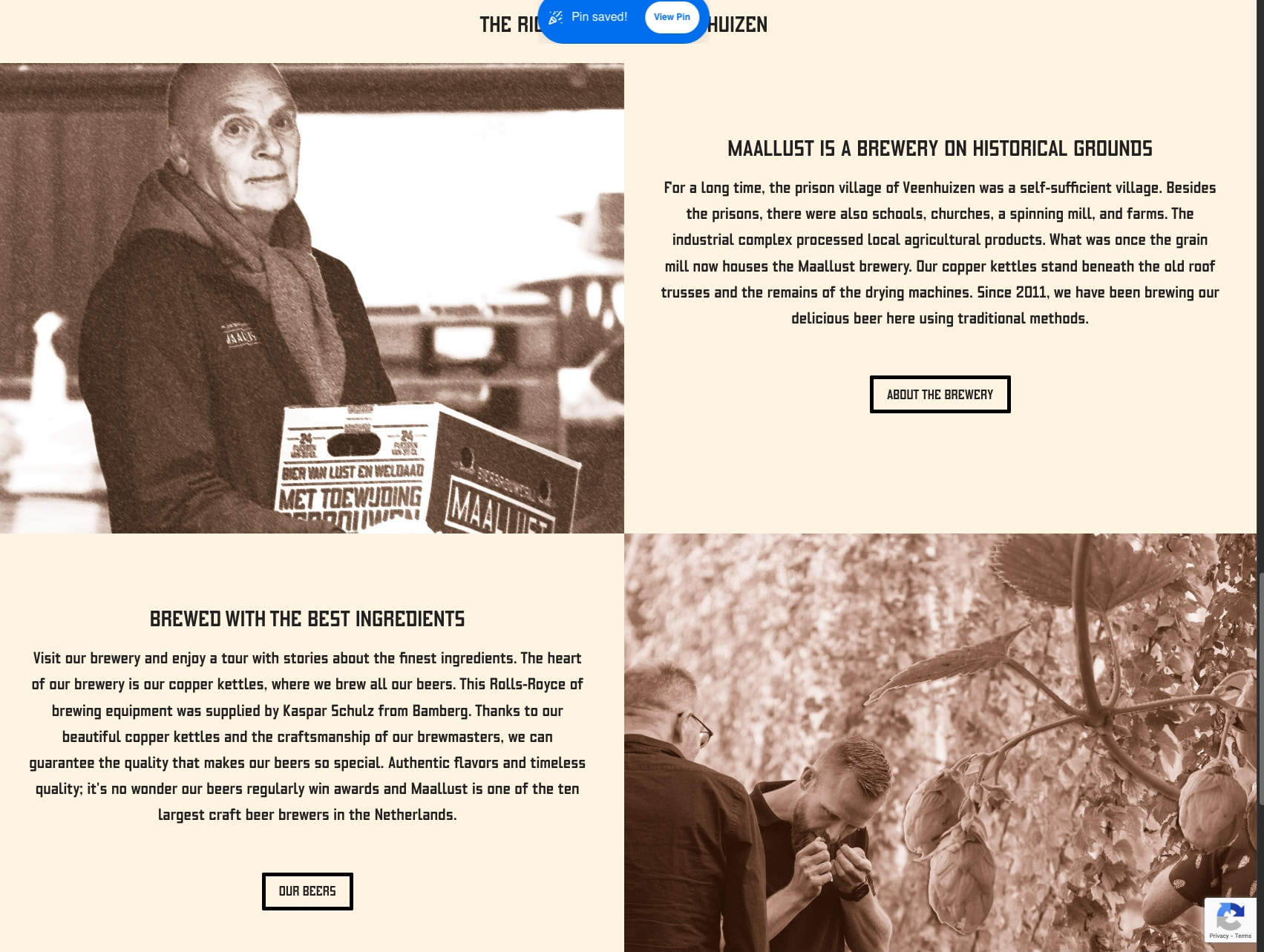 Bierbrouwerij Maallust Veenhuizen | Bier gebrouwen op historische gronden captured website design