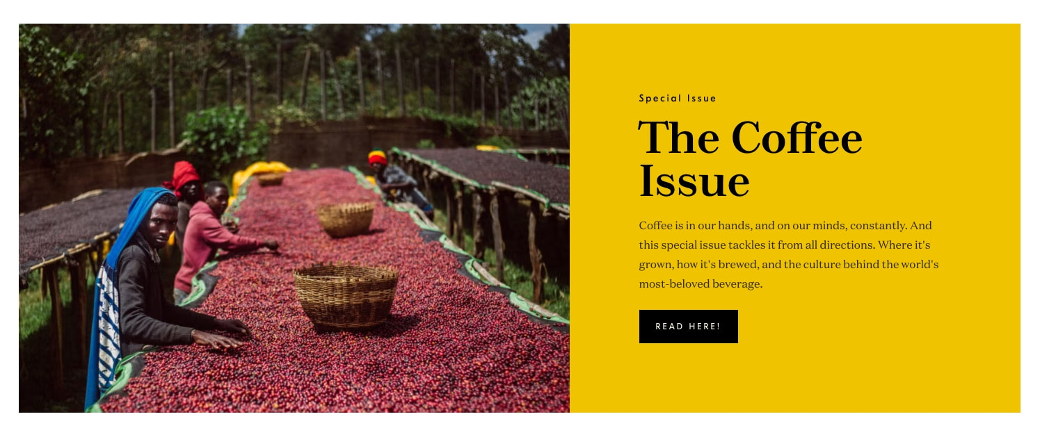 TASTE | Home captured website design