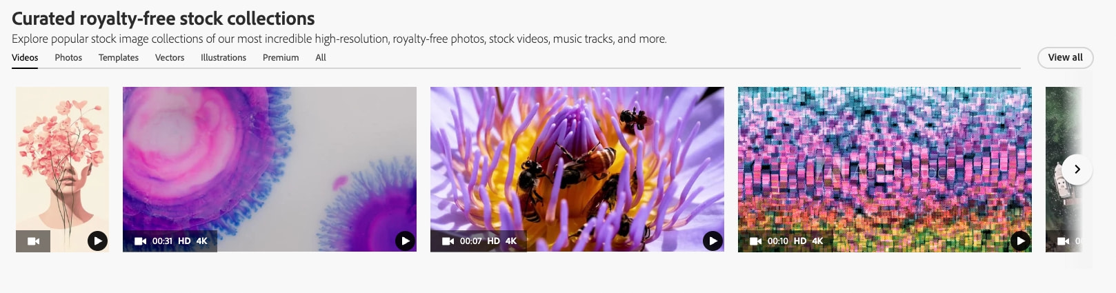 Stock photos, royalty-free images, graphics, vectors & videos | Adobe Stock captured website design
