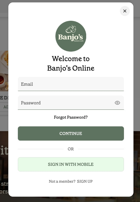 Sign-in modal featuring Banjo's green circular logo, email and password input fields, dark green CONTINUE button, light green mobile sign-in option, and centered OR divider. captured website design
