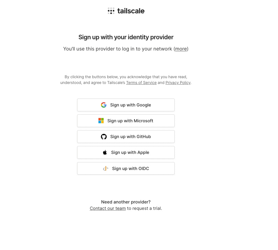 Tailscale captured website design