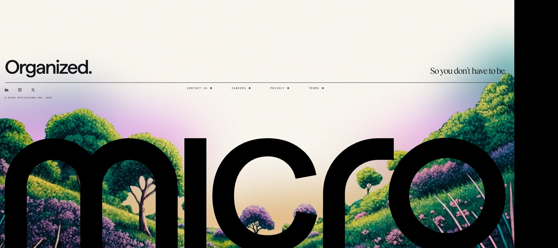 Micro captured website design