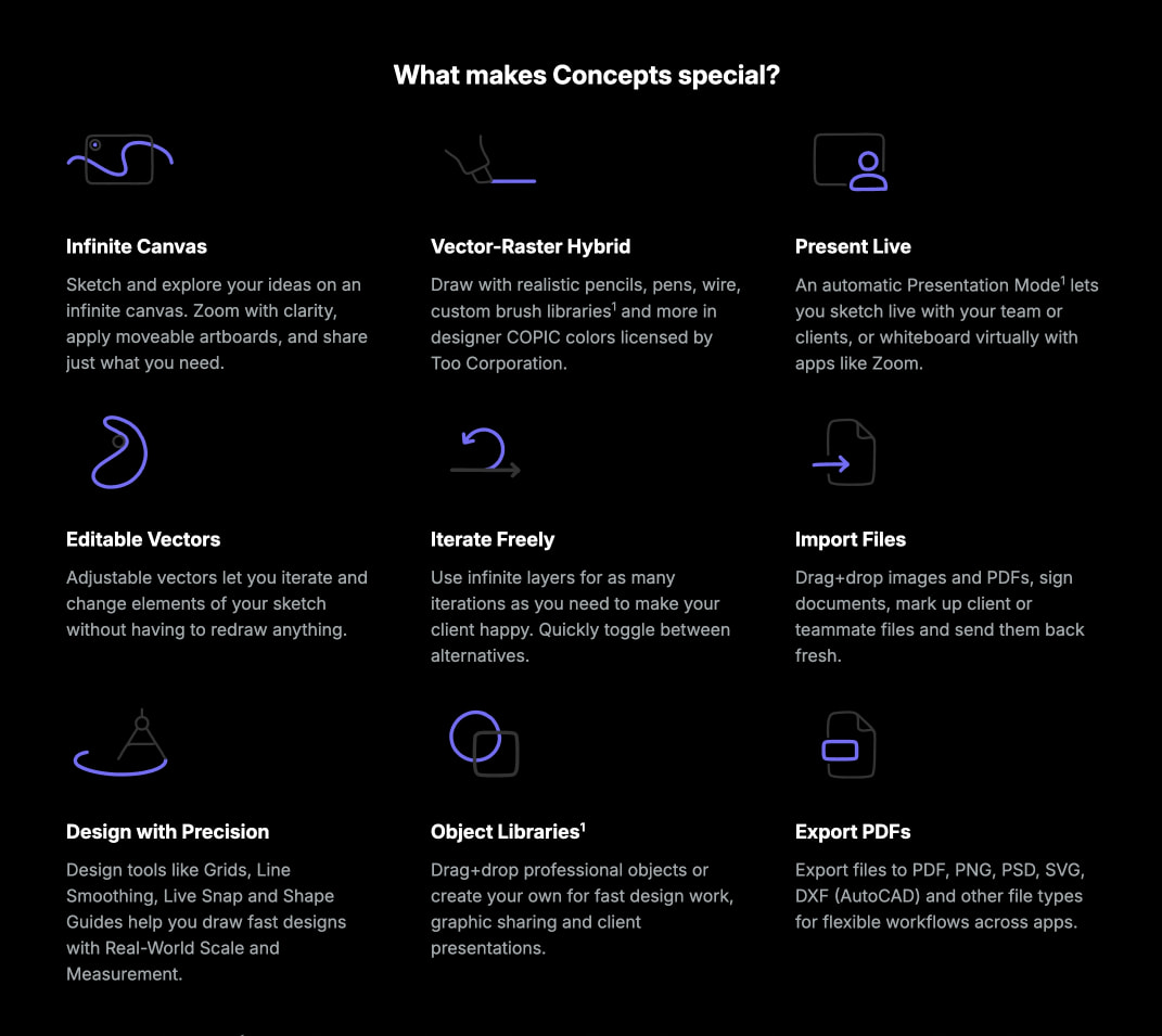 Feature grid with nine icon-driven capabilities arranged in three rows, each with purple line-art icons on dark background captured website design