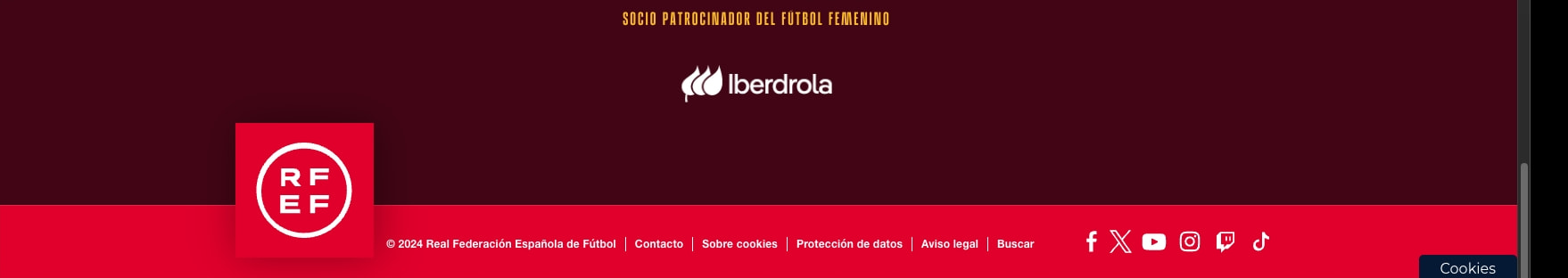 Portada | www.rfef.es captured website design