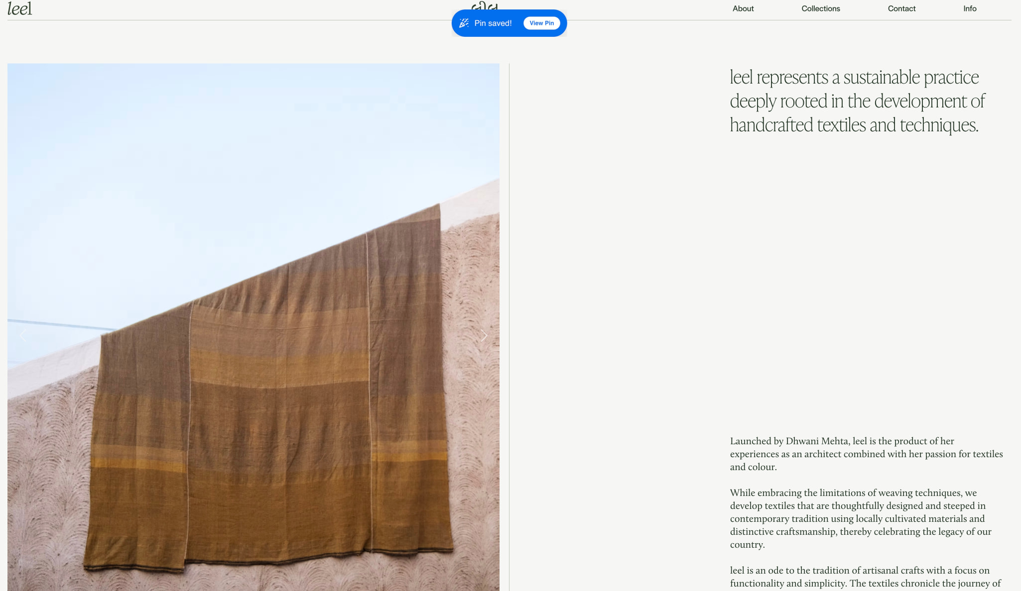 Leel captured website design