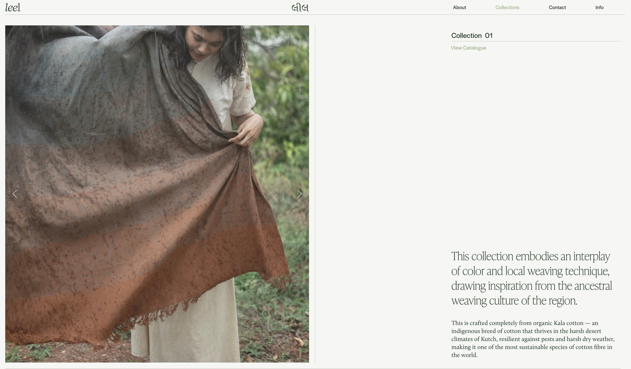 Leel captured website design