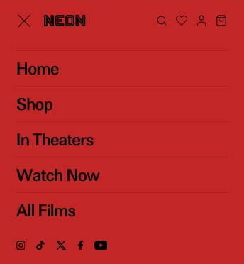 NEON captured website design