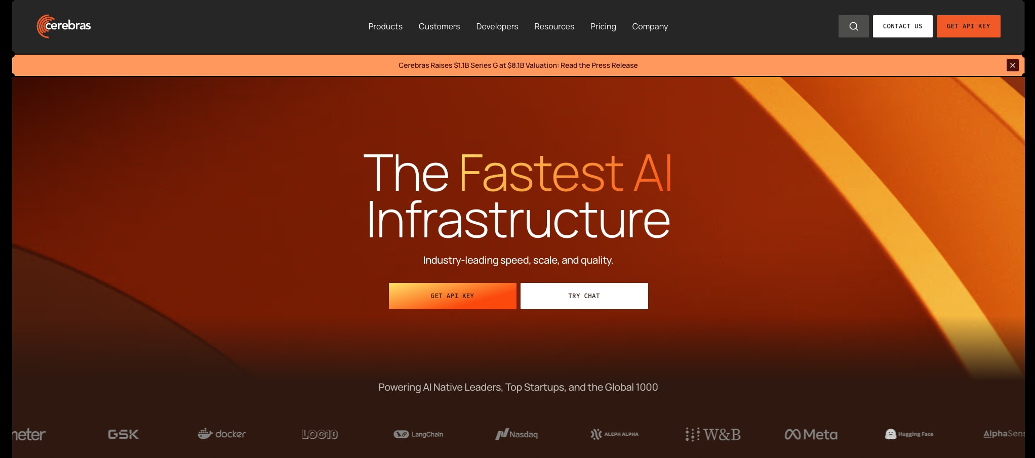 Cerebras captured website design