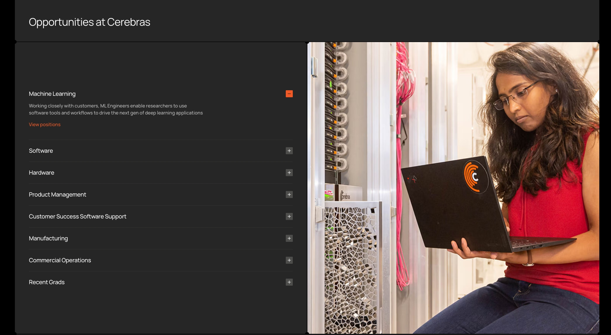 Cerebras captured website design