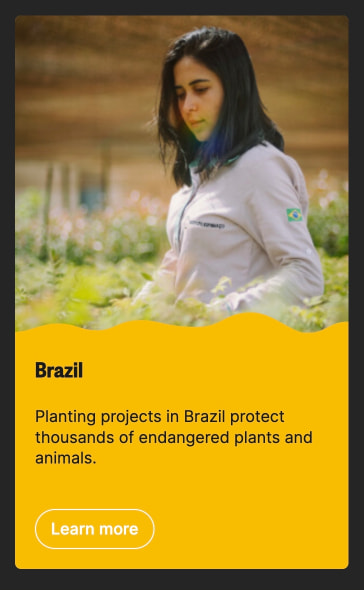 Project location card with photograph of a person in a field, wavy bottom edge transition, yellow background, bold heading, body text, and outlined pill button. captured website design