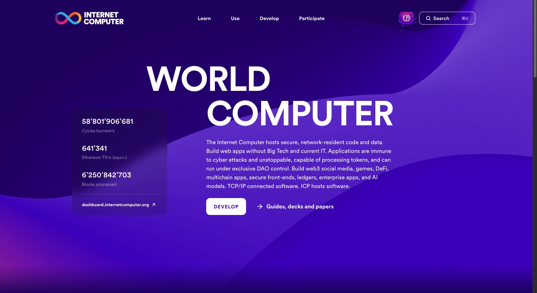 World Computer | Internet Computer captured website design