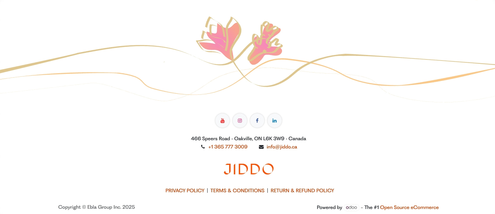 Home | DRINK JIDDO captured website design