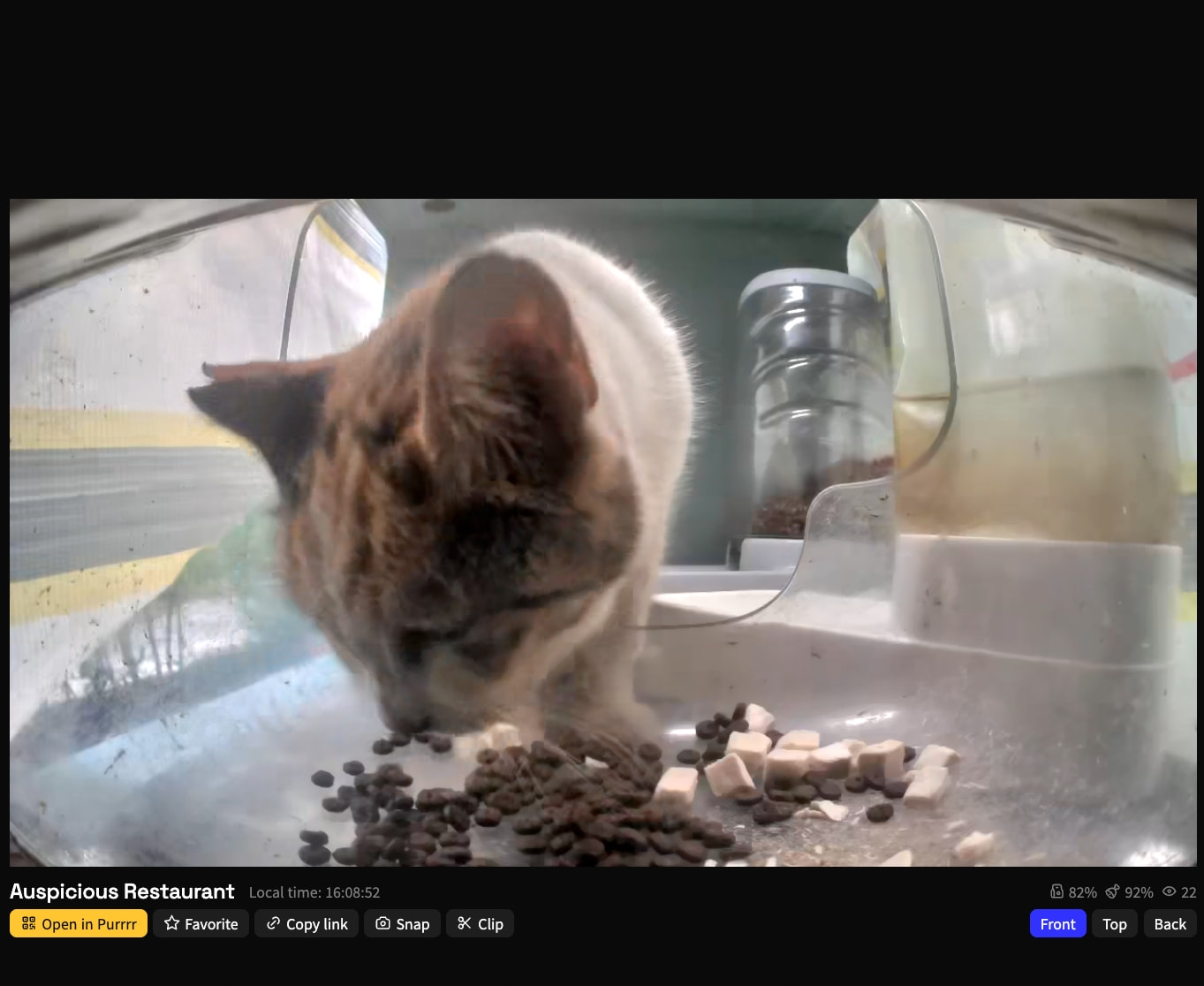 Auspicious Restaurant · meow.camera captured website design