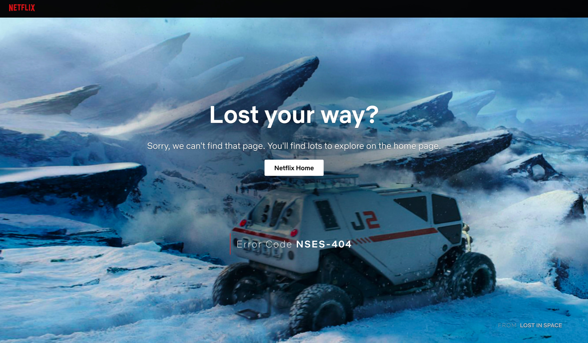 Netflix captured website design