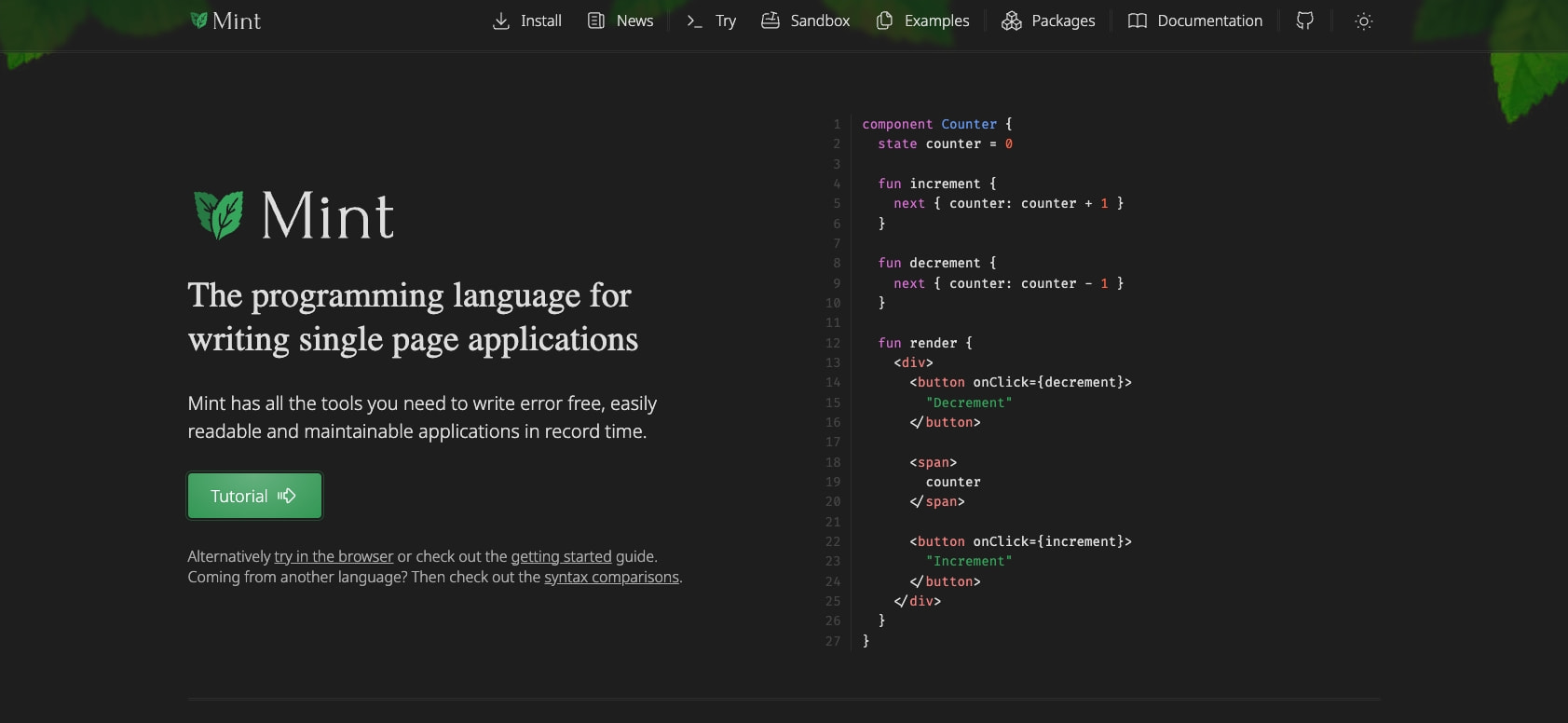 Mint Programming Language captured website design