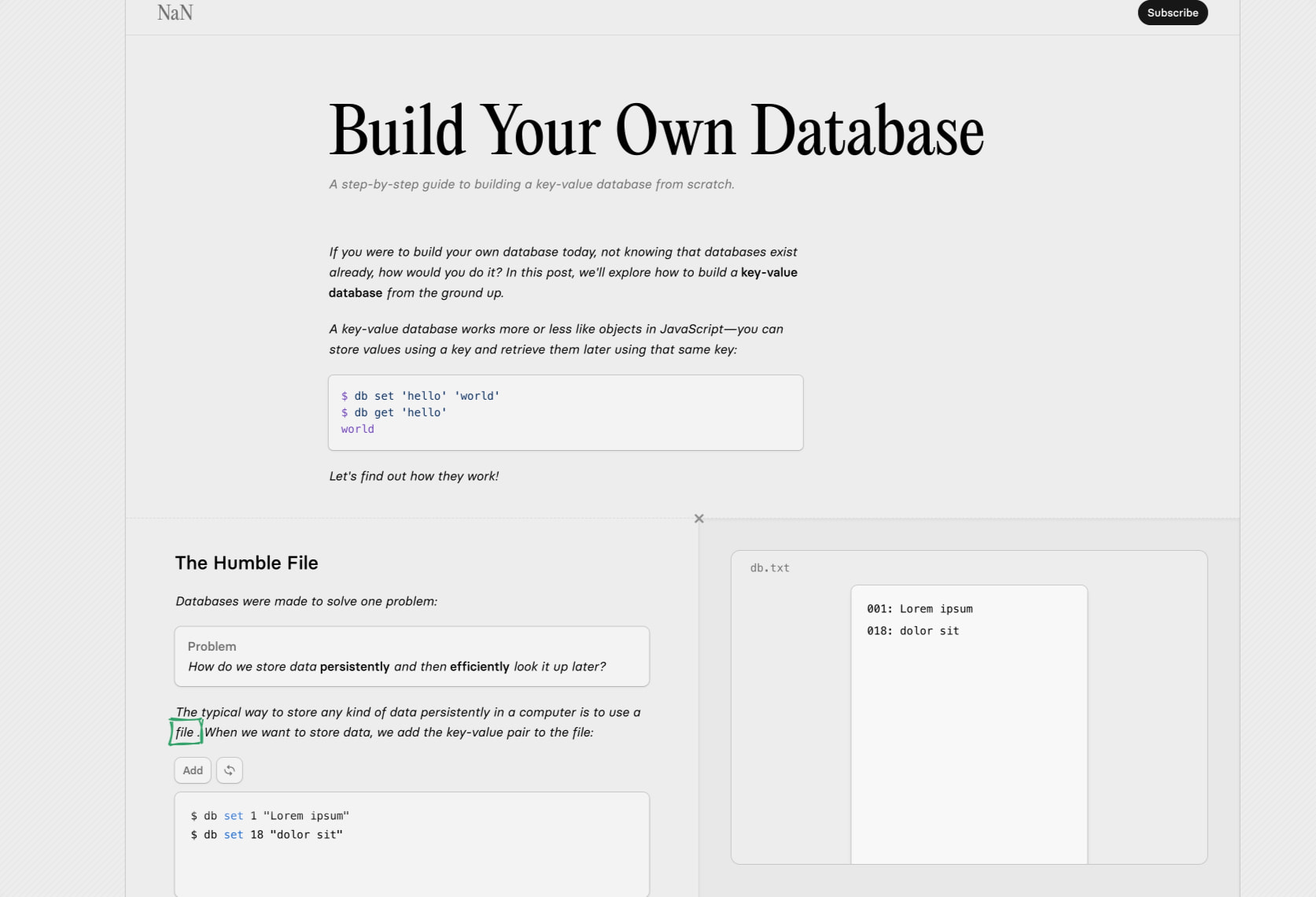 Build Your Own Database captured website design